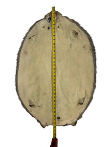 Western Canadian Beaver Pelt