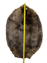 Load image into Gallery viewer, Western Canadian Beaver Pelt