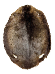 Western Canadian Beaver Pelt