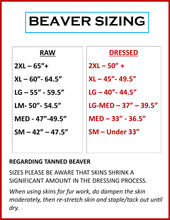 Load image into Gallery viewer, Western Canadian Beaver Pelt