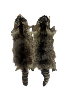 Raccoon Pelts 3X-2X- Dark