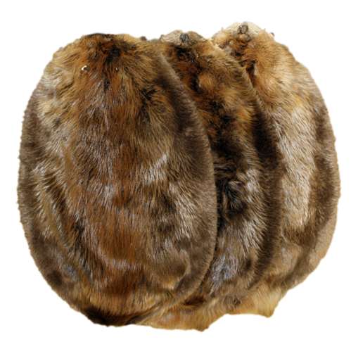 Western Canadian Beaver Pelt