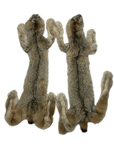 Load image into Gallery viewer, Canadian Lynx XL - Taxidermy/Complete High Grade