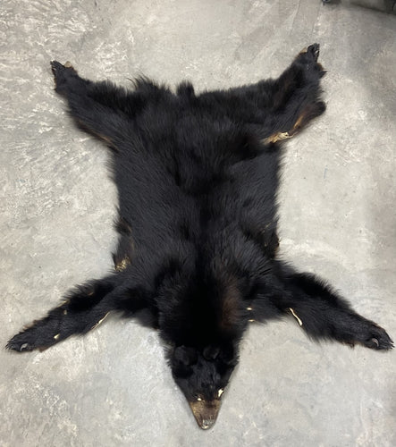 Black Bear - Tanned Pelt