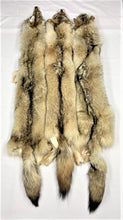 Load image into Gallery viewer, Coyote Pelt - XL - LG  Heavy - Case Skinned