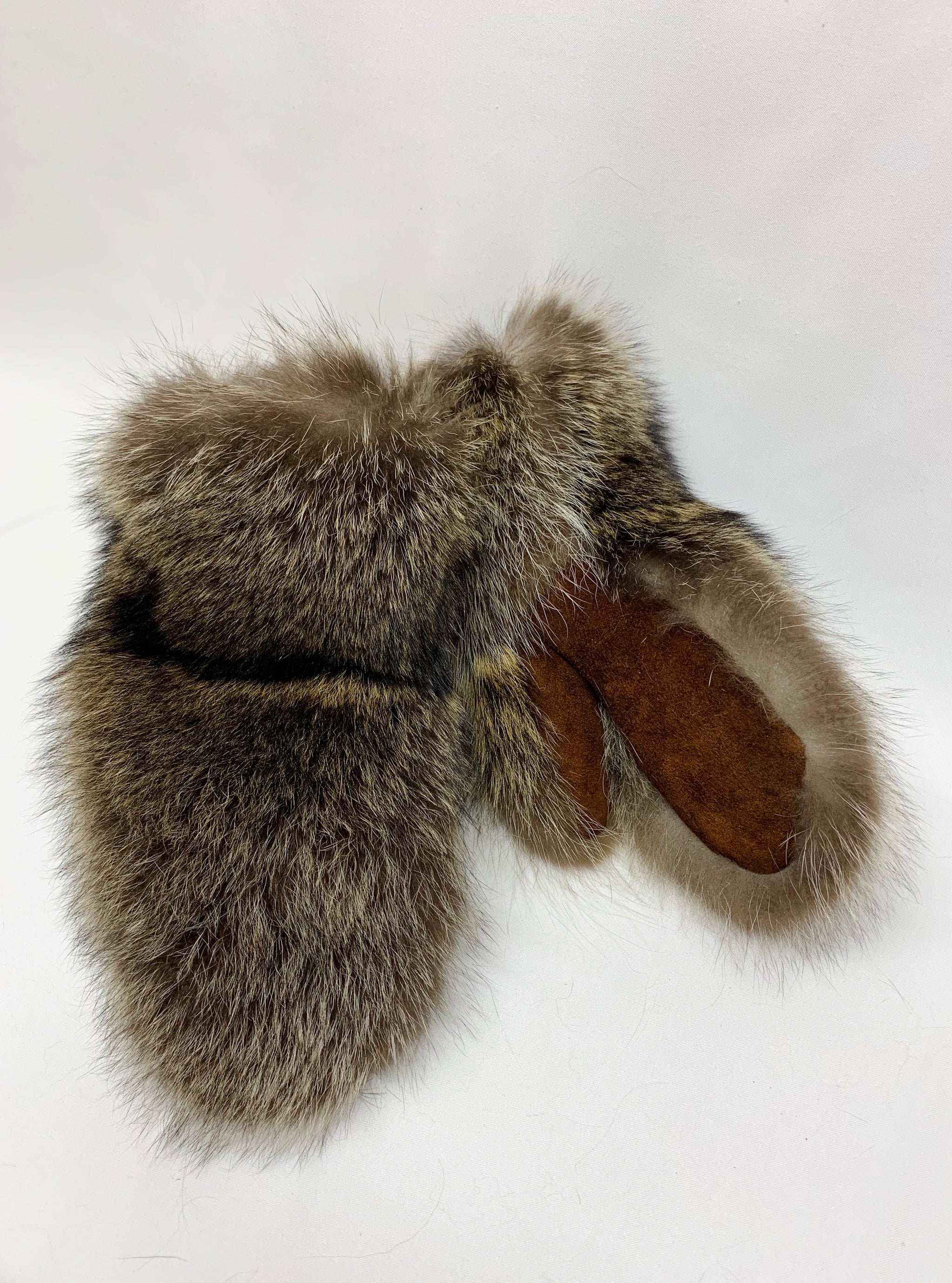 Raccoon - Fur Type – Canada Fur Company