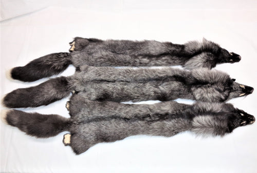 Silver Fox Pelt