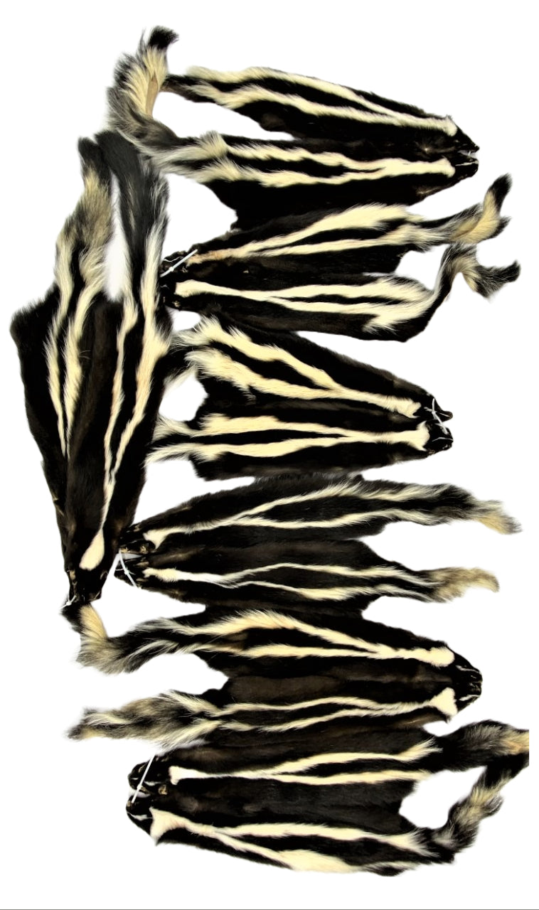Skunk - Fur Type – Canada Fur Company