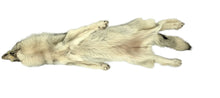 Load image into Gallery viewer, Wolf Pelt - 3XL - 2XL Select Pale- Complete