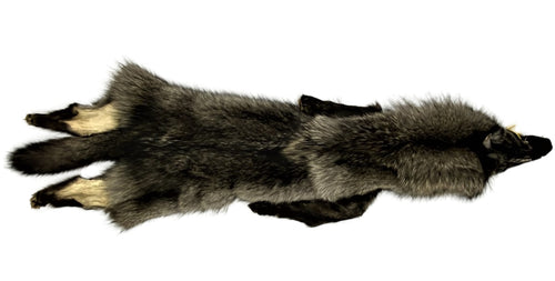 Black Wolf Pelt - 2XL Select - Complete, #698