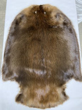 Load image into Gallery viewer, Beaver Pelt - Western