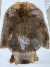 Load image into Gallery viewer, Beaver Pelt - Western